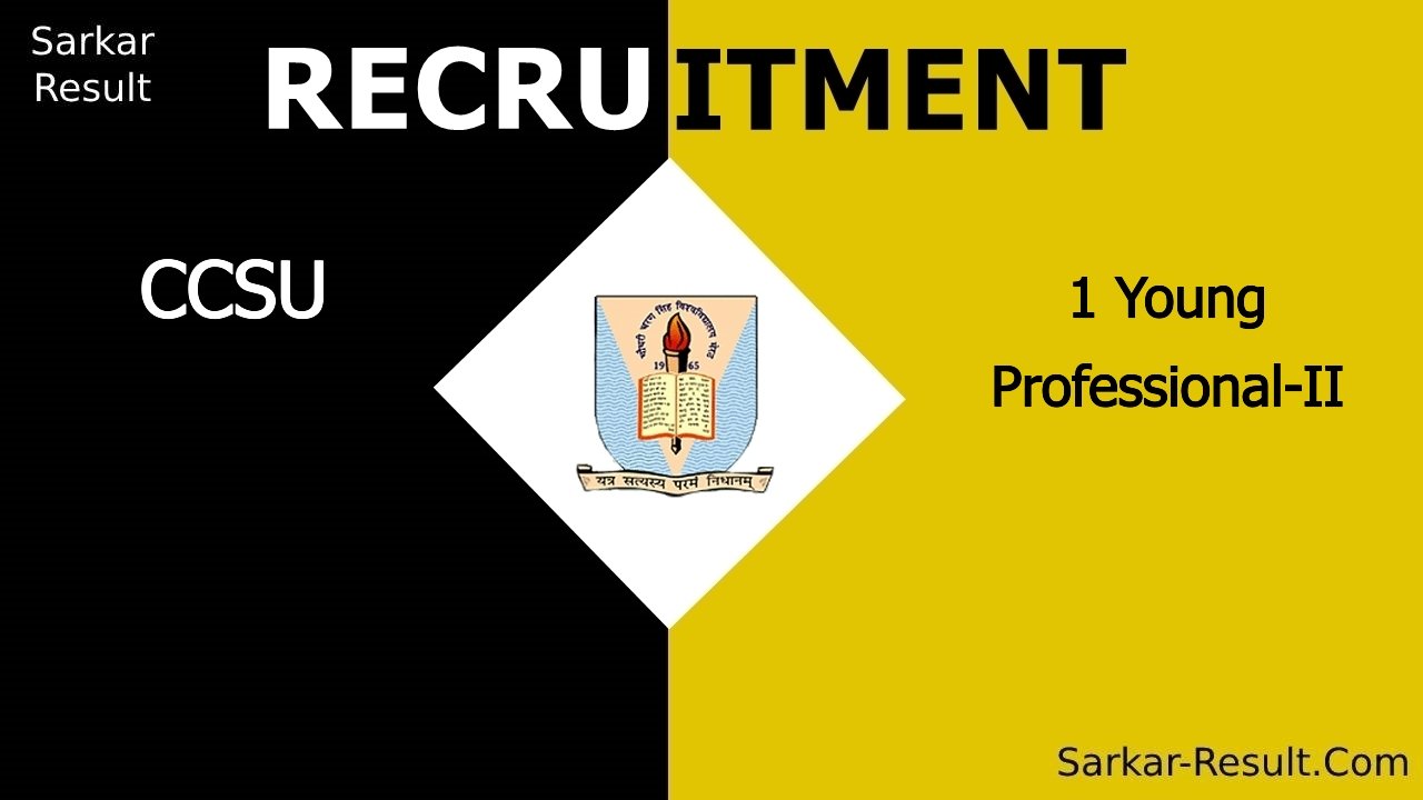 ccsu recruitment 2024 apply offline for 1 young professional ii out