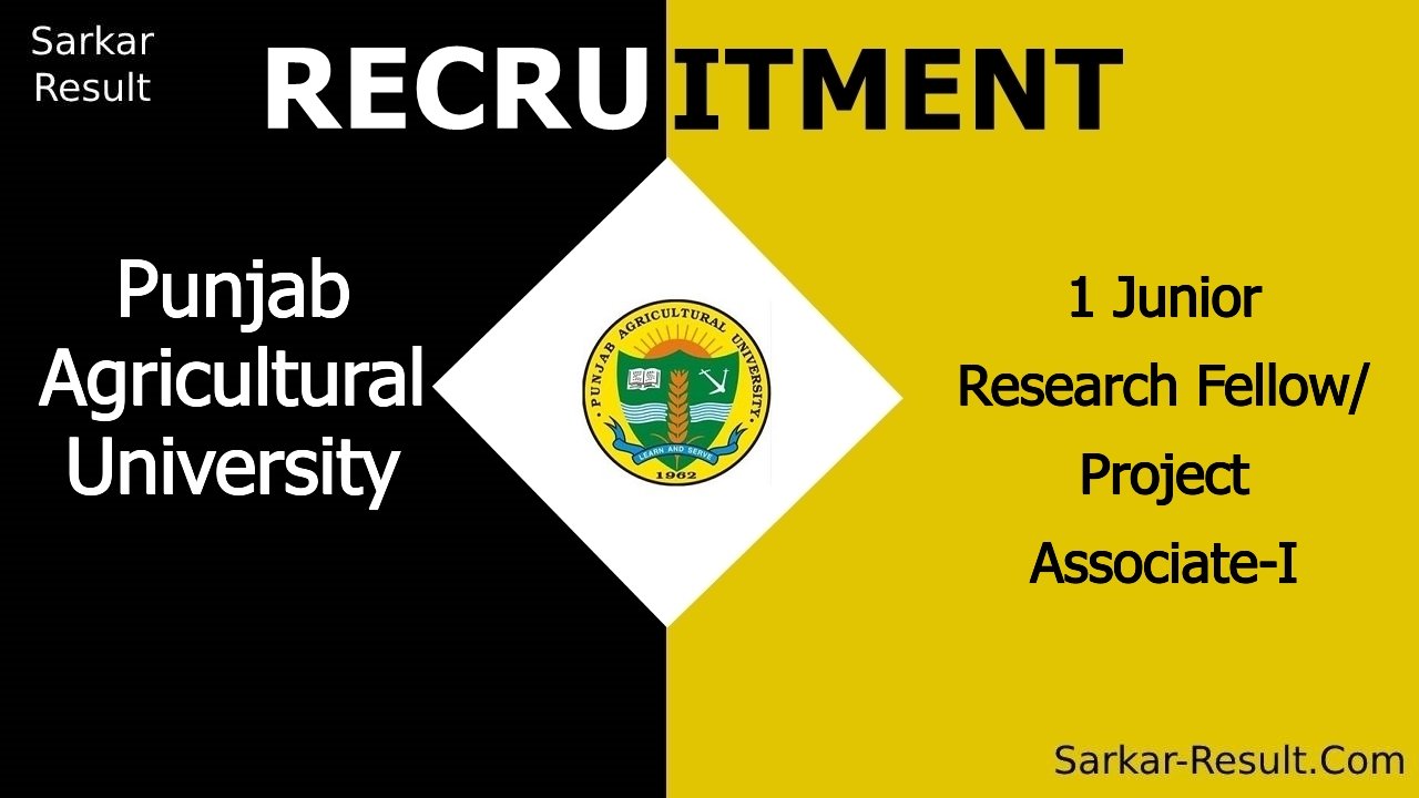 punjab agricultural university recruitment 2024 apply offline for 1 junior research fellow project associate i out