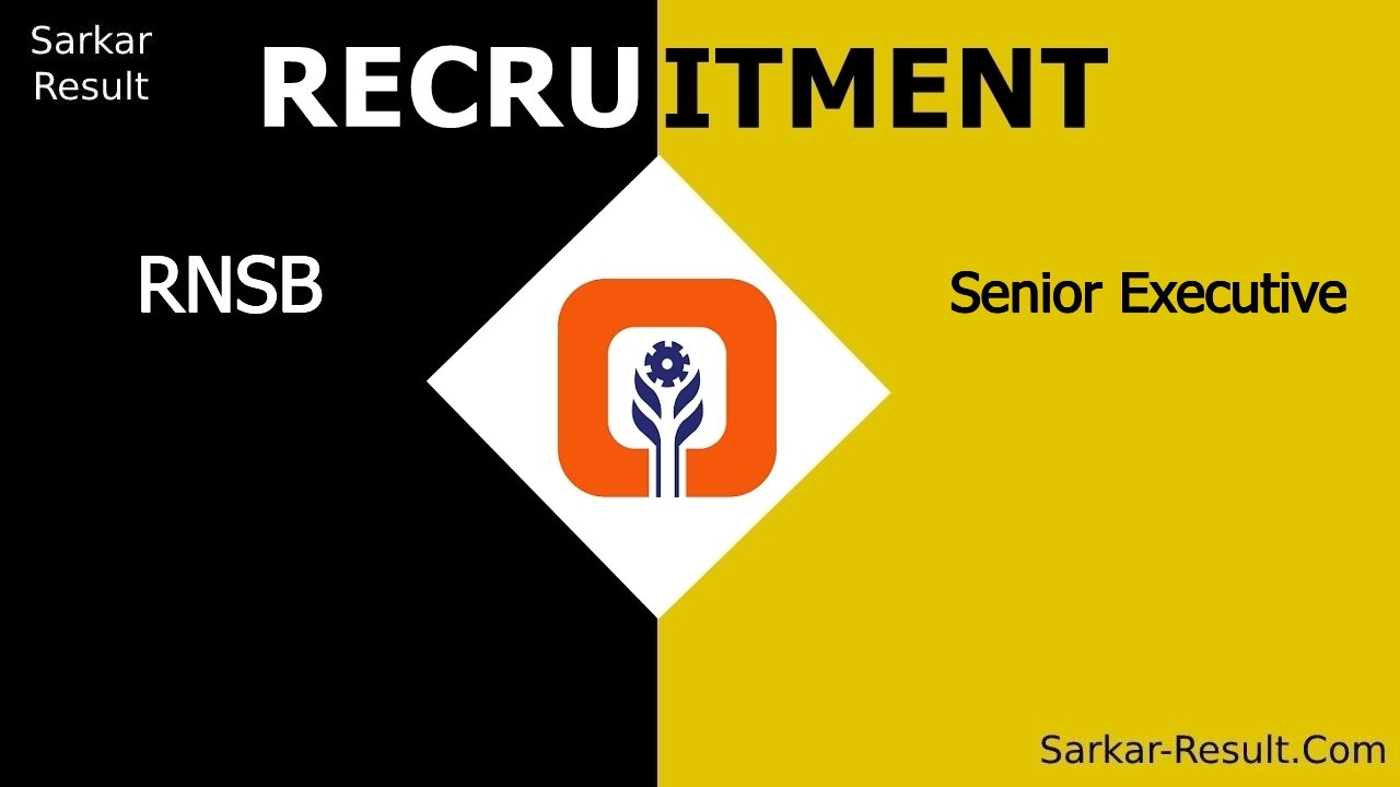 rnsb recruitment 2024 apply online for senior executive 2 out