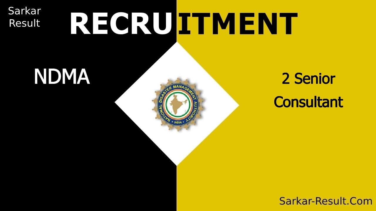 ndma recruitment 2024 apply offline for 2 senior consultant out