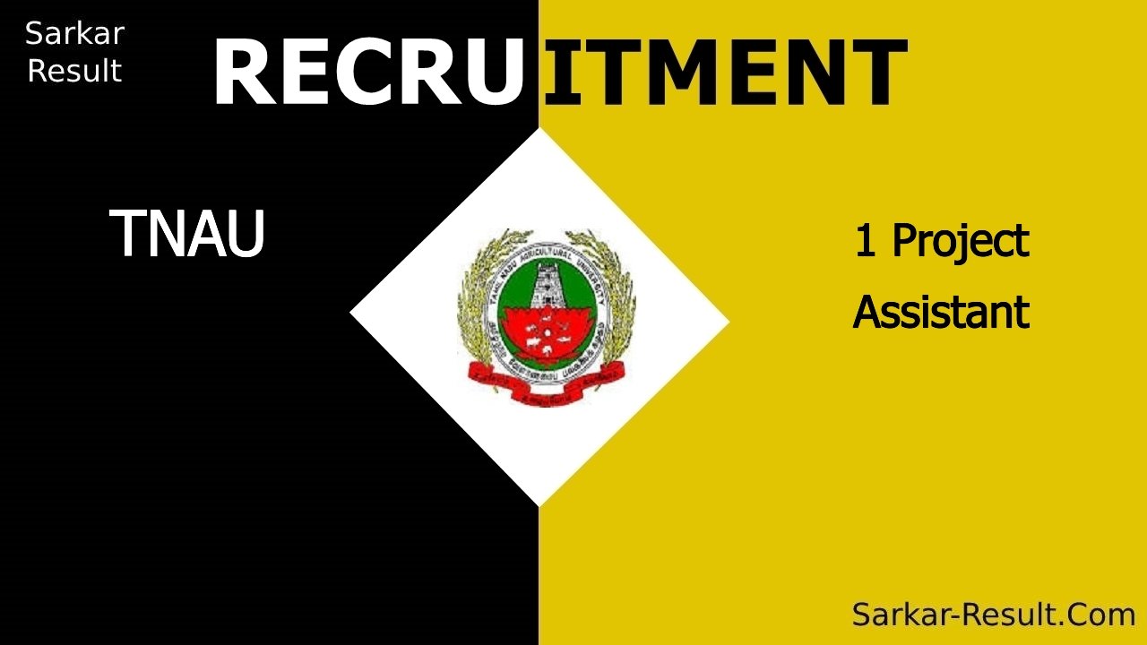 tnau recruitment 2024 walk in interview for 1 project assistant out